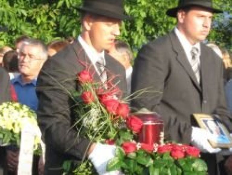 137.jpg