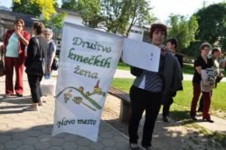 kmetica_leta_2010_041_1_.jpg