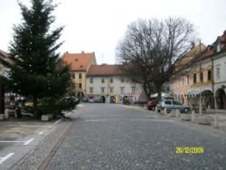 sokol_002.jpg