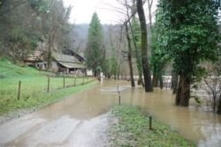 kolpa_mar_043.jpg