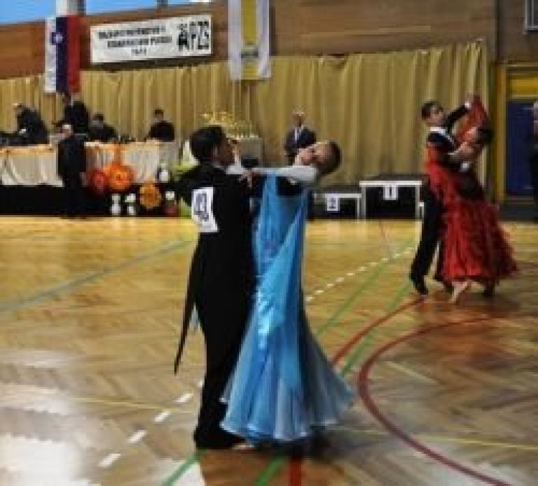 dp_st_plesi_2011_jan_mb_1_.jpg
