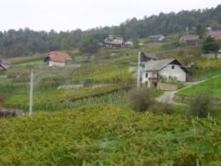 straznji_vrh.jpg