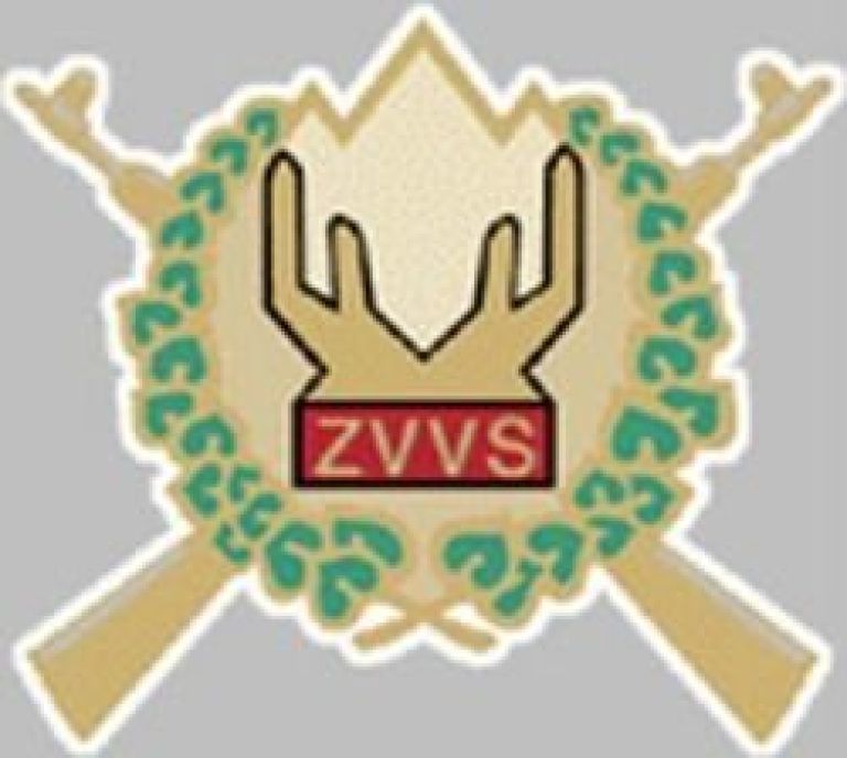zvvs.jpg
