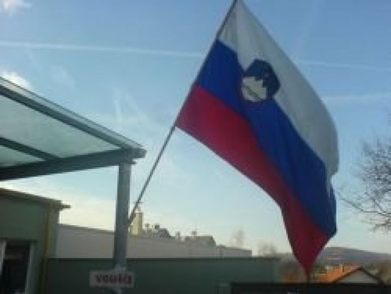volitve2_zastava.jpg