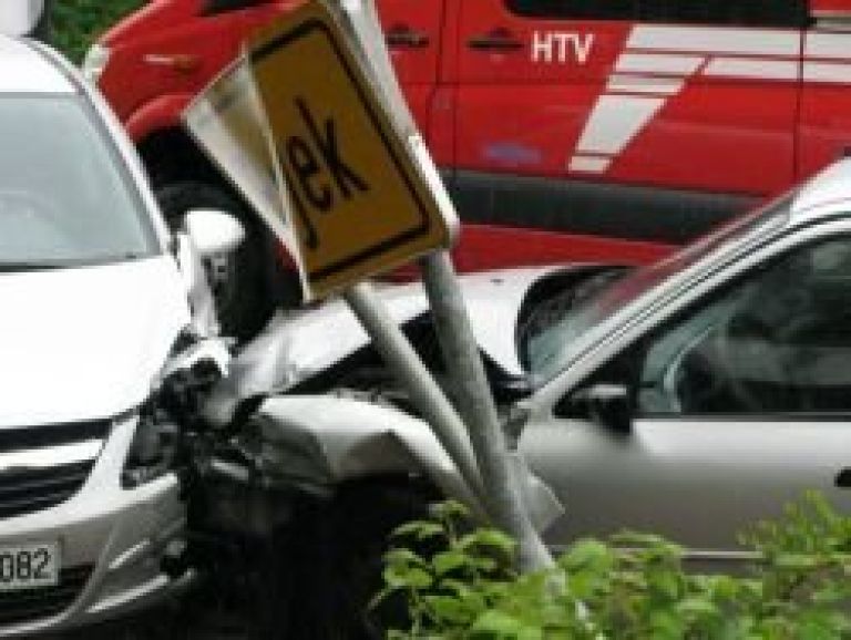 petelinjek_17.jpg