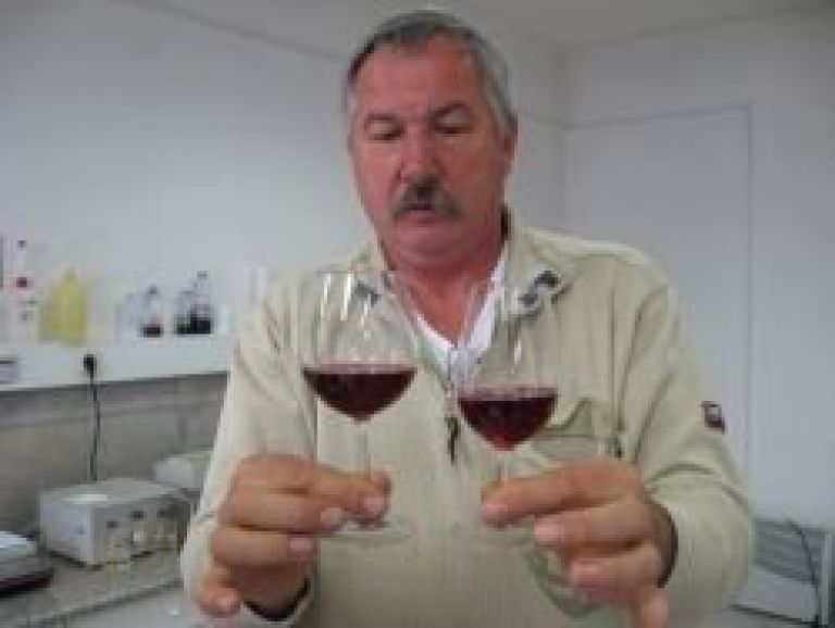 sekoranja_s_kozarci_rdecepicture_020.jpg