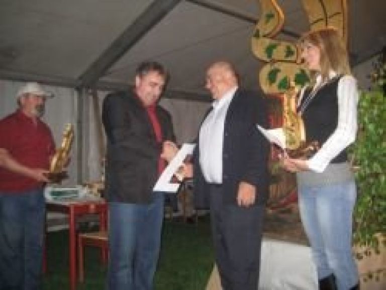 naslovna_stipic_in_prejsnji_trijepicture_011.jpg