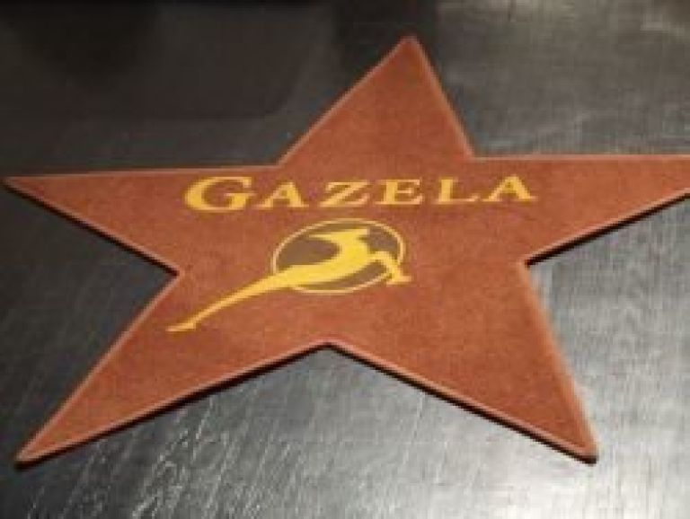 gazela1.jpg