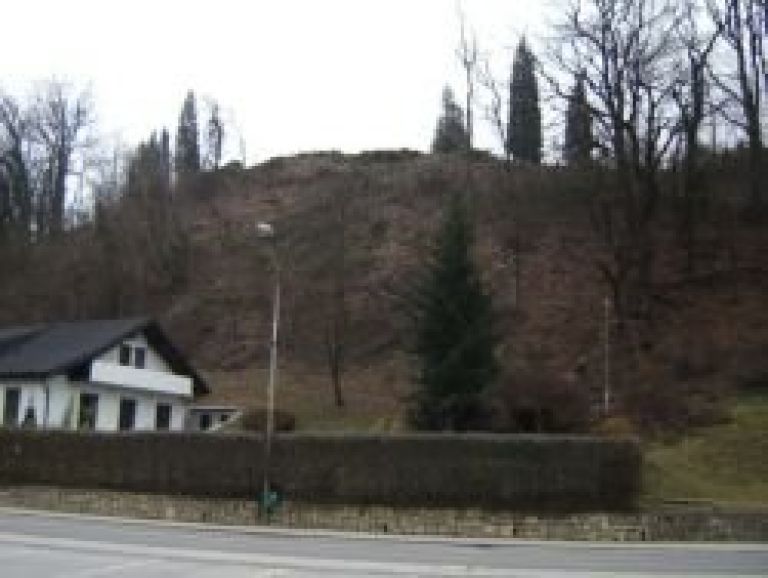 varovalni_gozd.jpg
