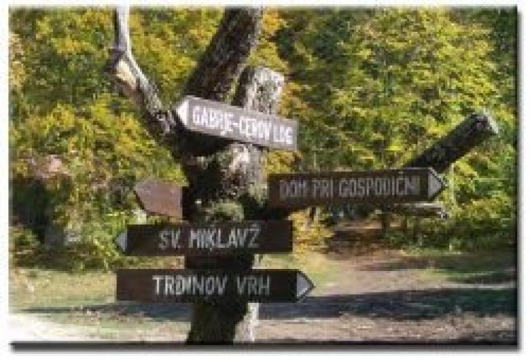 trdinova_pot.jpg