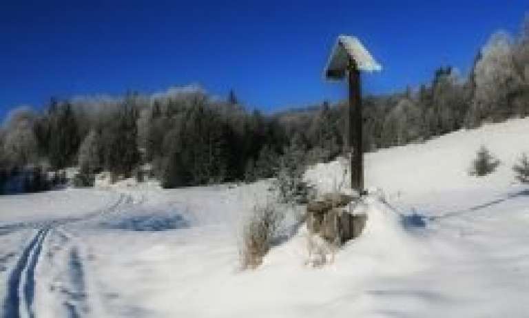 24_december__ponikve.jpg