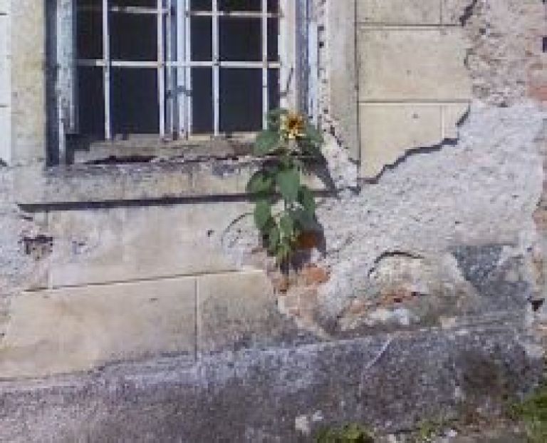 preloka_sola_soncnica_g.jpg