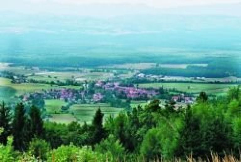kostanjevica_panorama.jpg