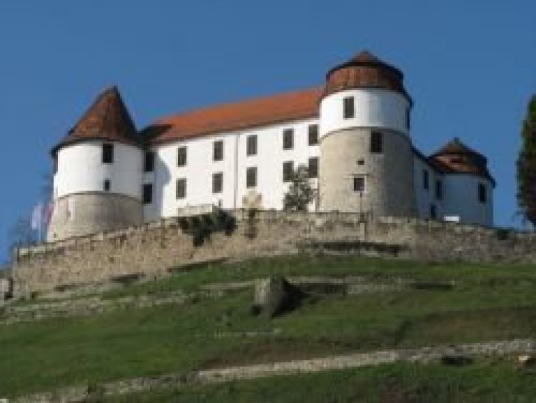 grad_sevnica_13mar2007.jpg