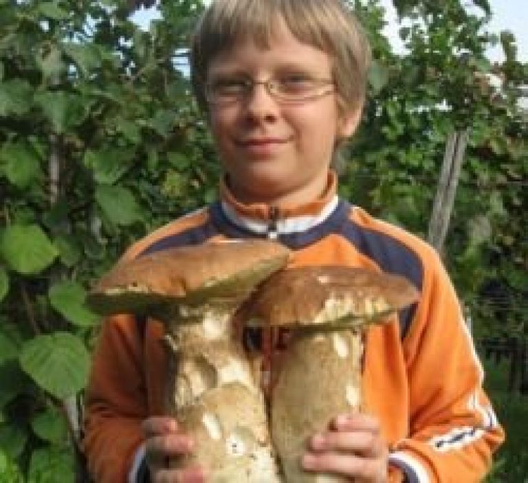 dvojcek.jpg