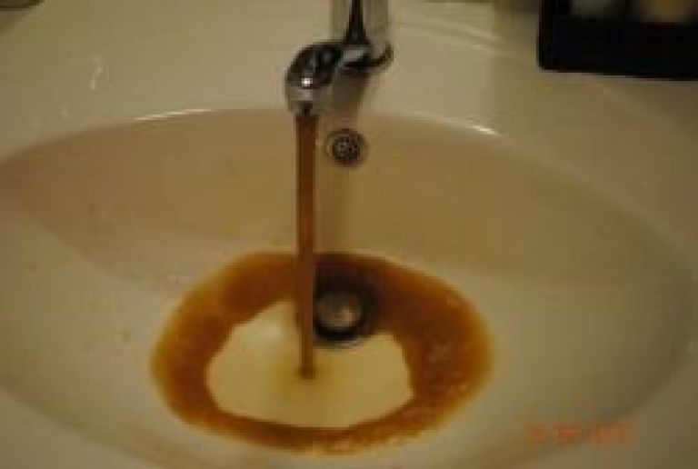 kava_11.jpg
