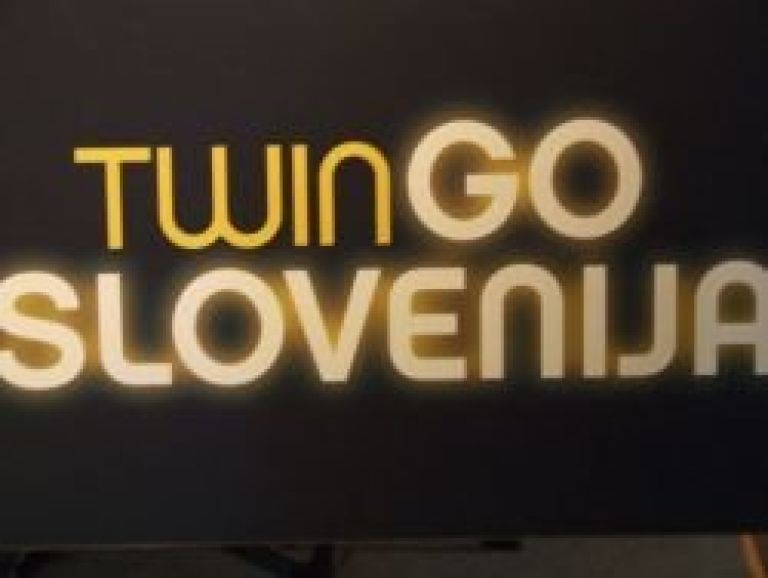 twin_go.jpg