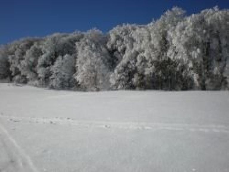 ivje_na_gorjancih_4_1_09.jpg