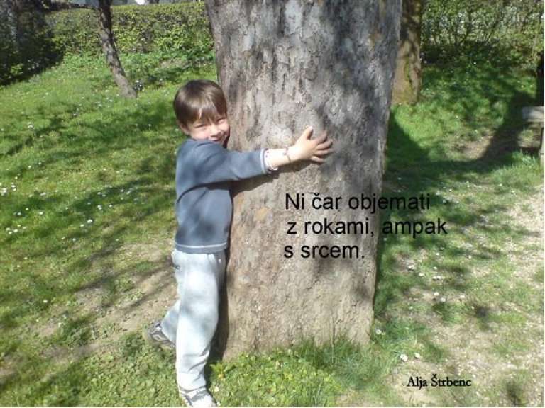 alja___trbenc_o___grm.jpg