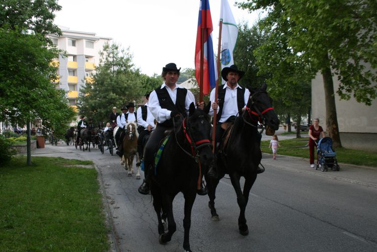 krekova_konjenica.jpg