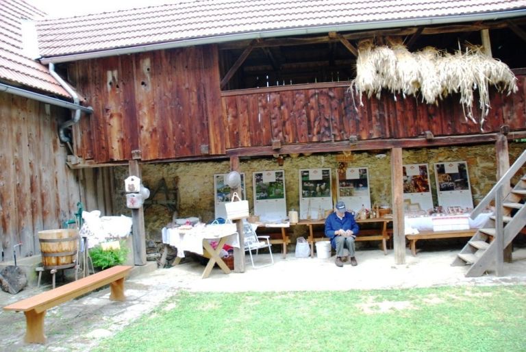 p_ambas11_075.jpg