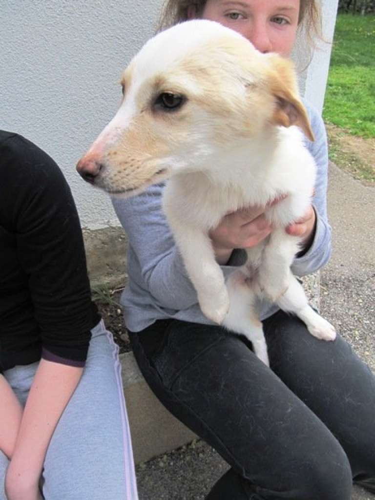 zuzu_031.jpg