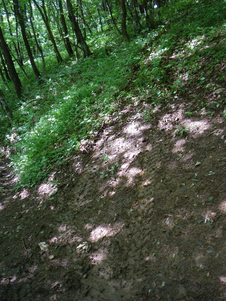 gorjanci_poti2.jpg