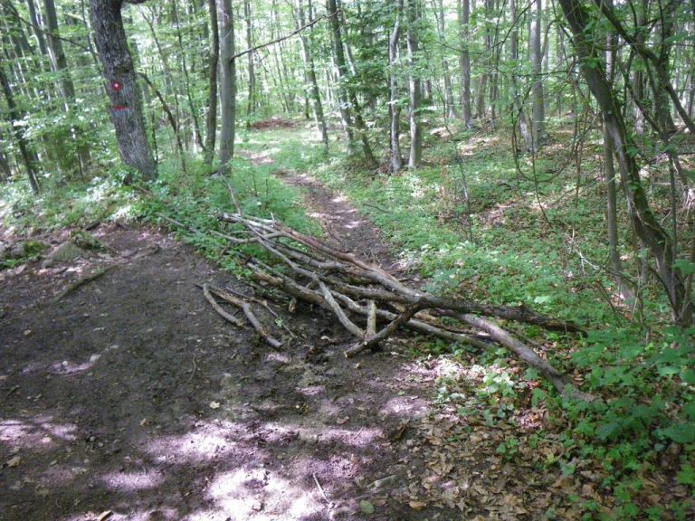 gorjanci_poti.jpg