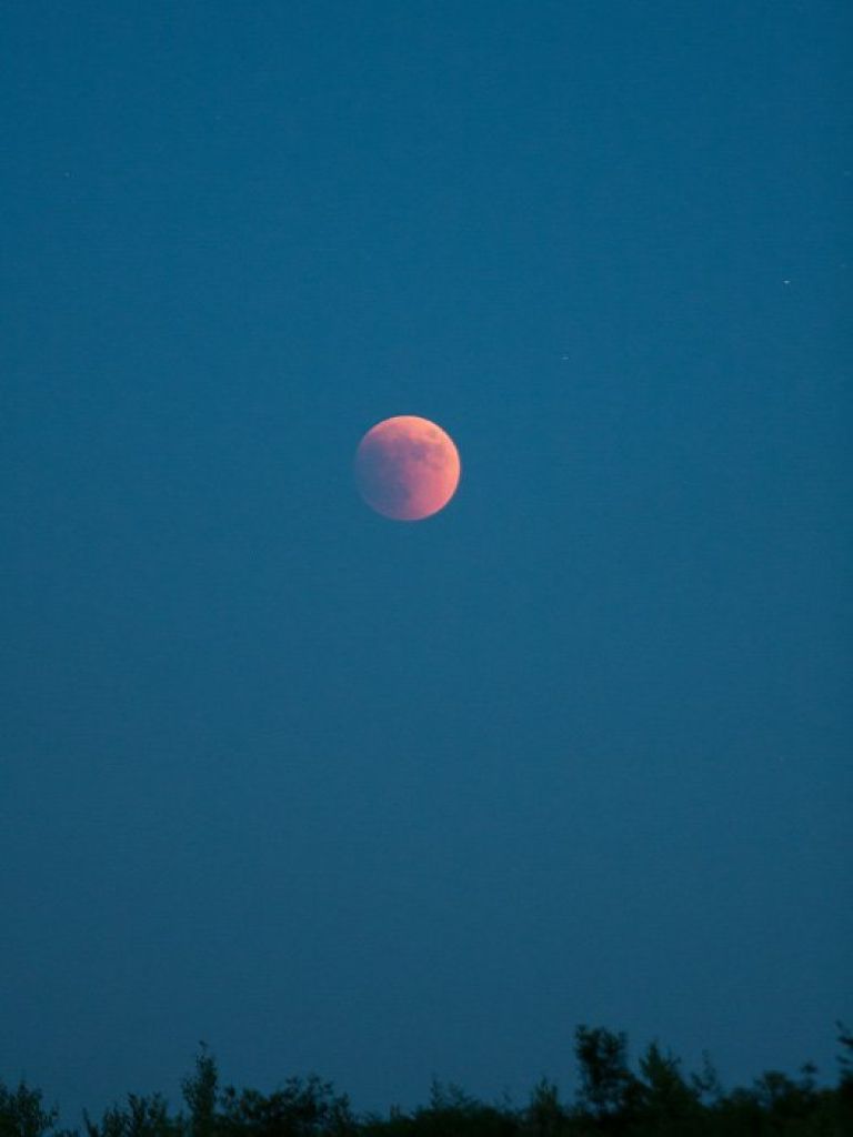 img_0417.jpg