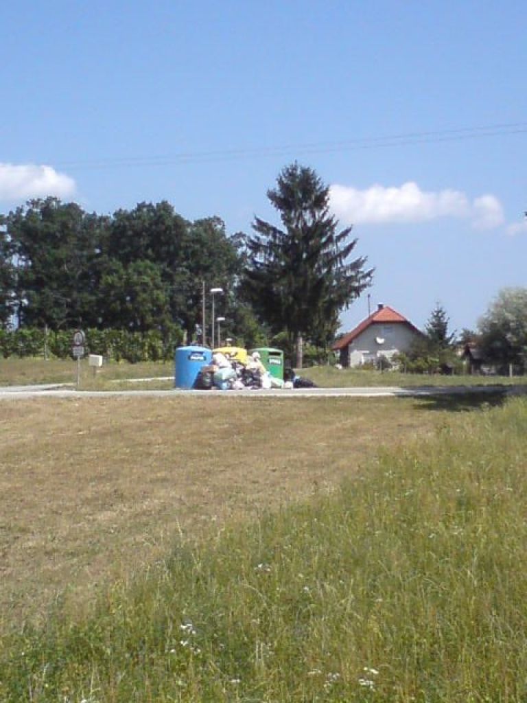dsc01884_000.jpg