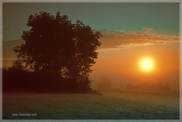 jutro_pokrajina_foto_urh__200_of_42__edit.jpg