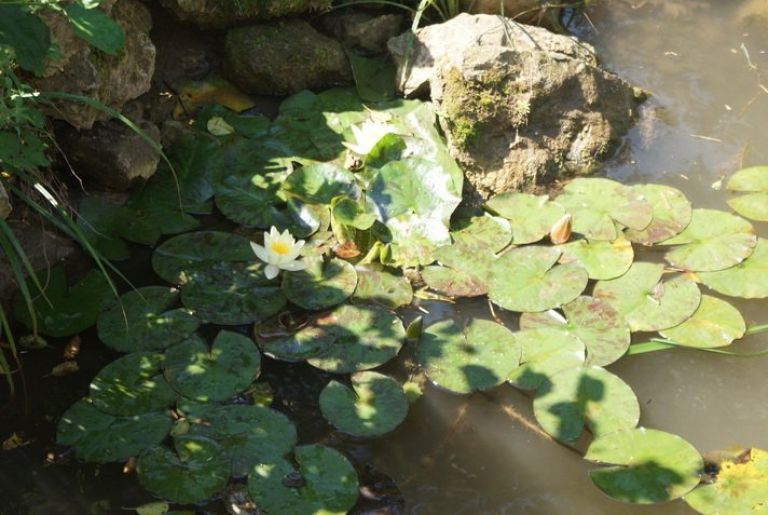 dsc04948_resize_resize_000.jpg