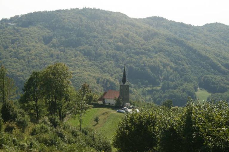 kozjanski_park_podaril_vinogradovko001.jpg