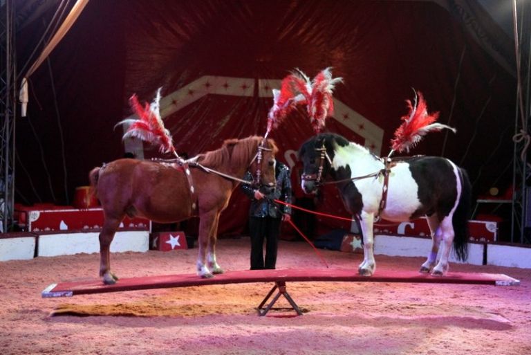 cirkus_062.jpg