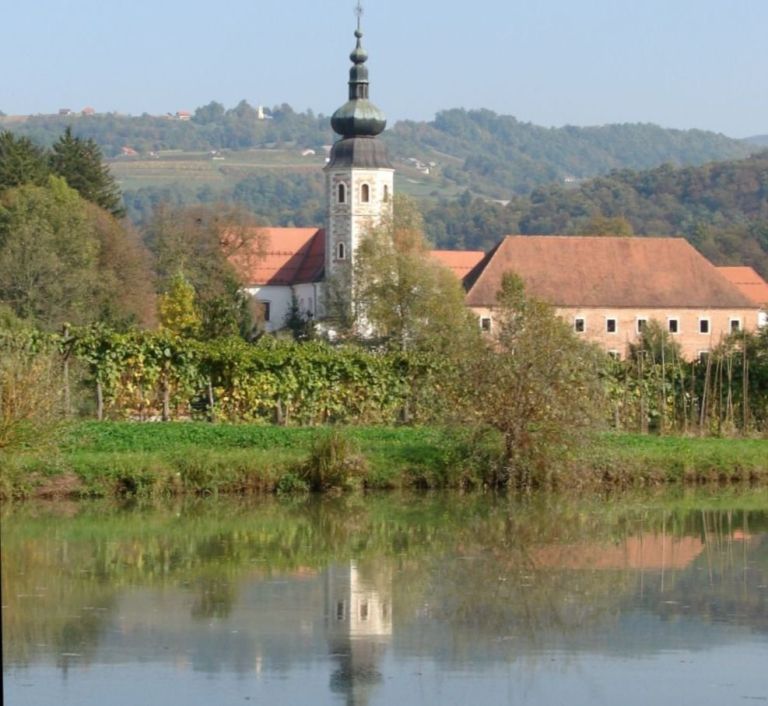 kostanjevica_rotat.jpg