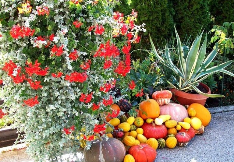 100_3801_000.jpg