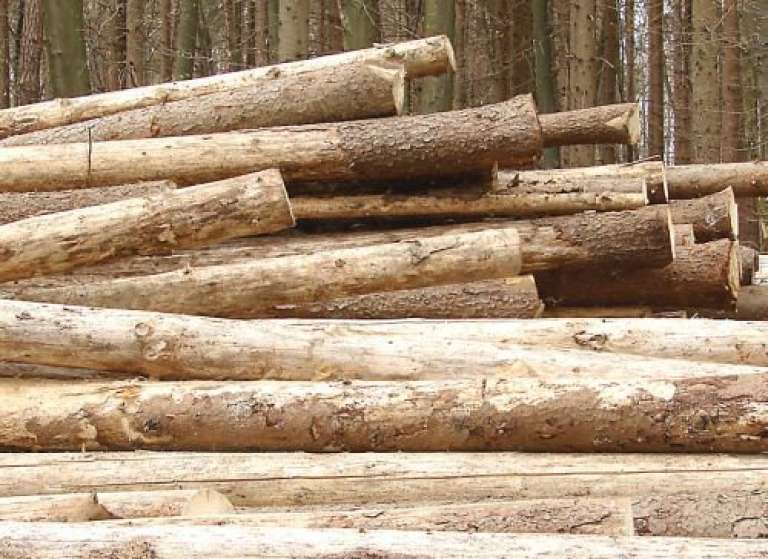 hlodi_500x365.jpg