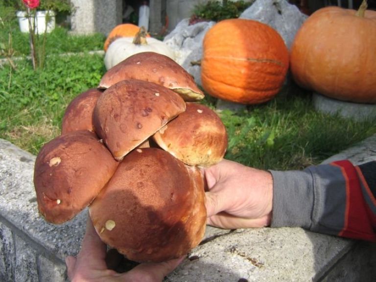jurcki6_1.jpg