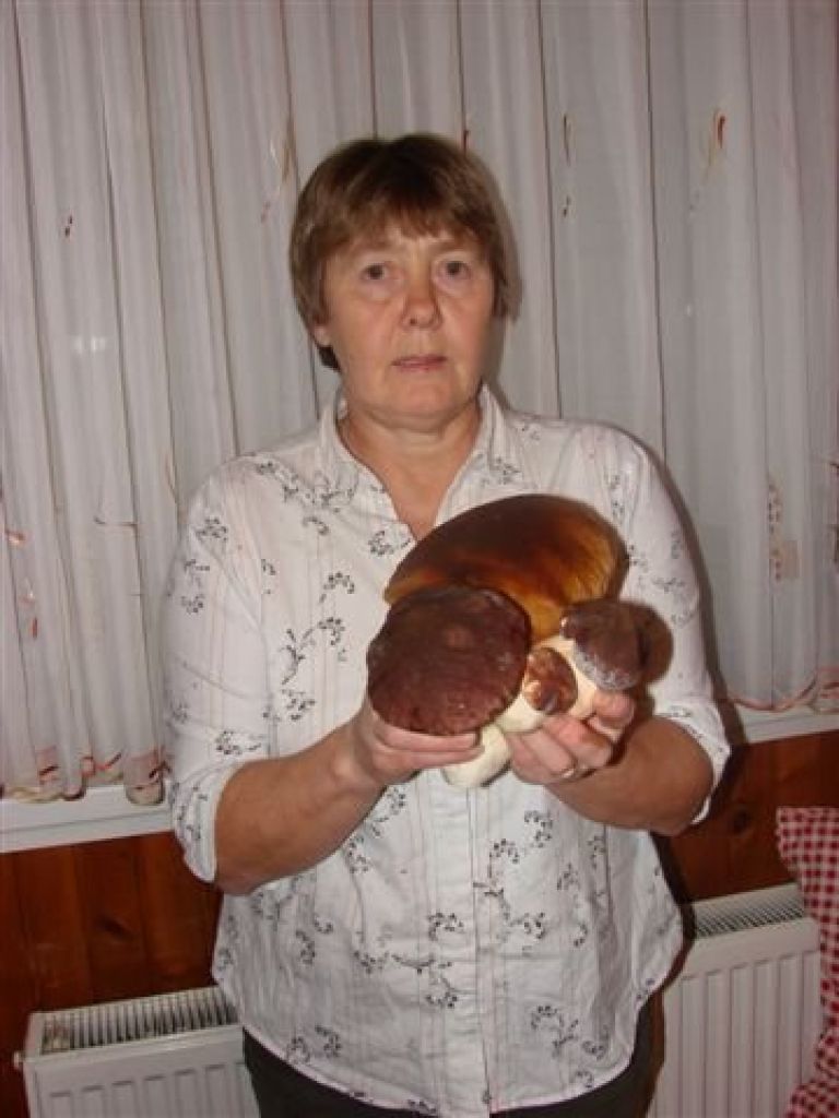 gobe11.jpg
