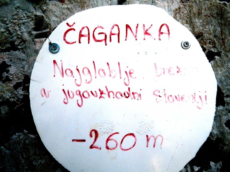 131_0949.jpg