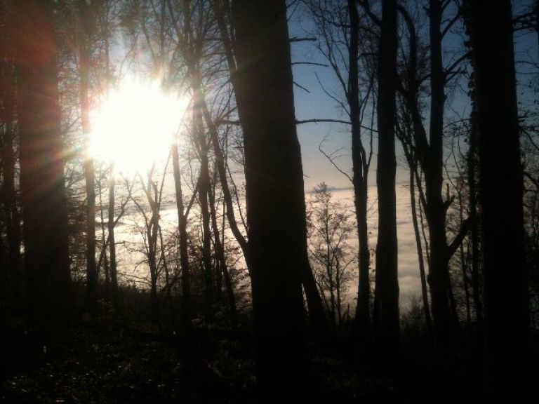 sonce_002.jpg