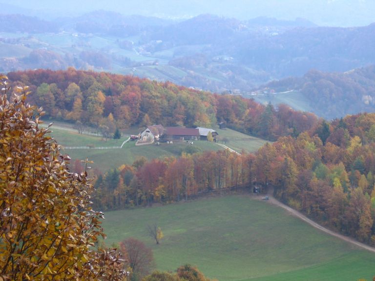 kmetija_009.jpg