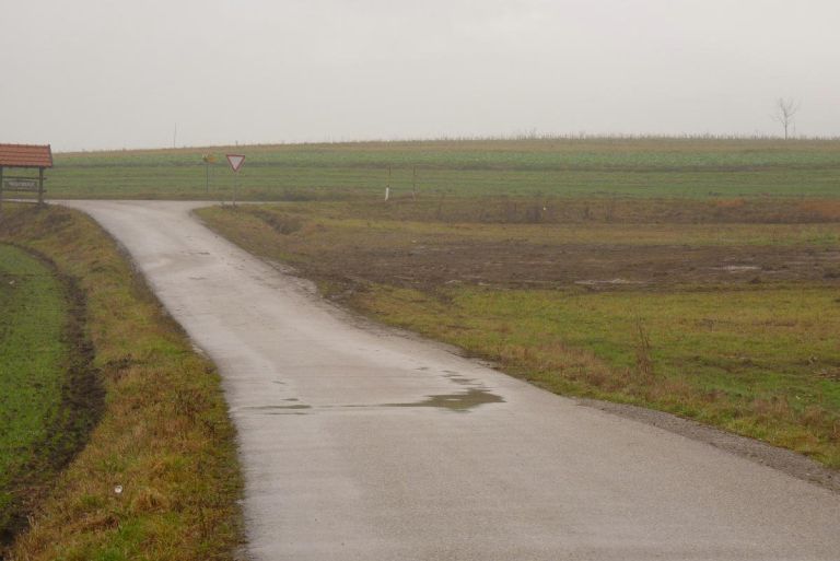 p1190636_4_1_000.jpg