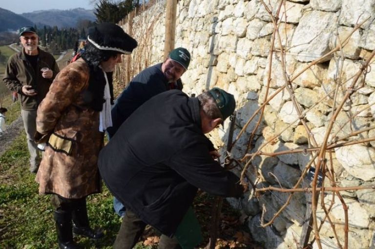 pa_baron_moscon_je_gledal_pod_prste_tudi_sentjanskim_vinogradnikom.jpg