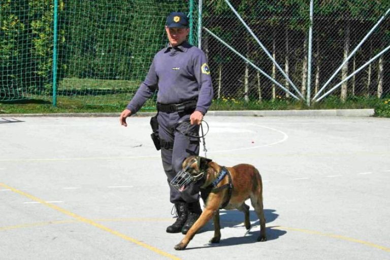 policijski_pes_z_vodnikom_pp.jpg