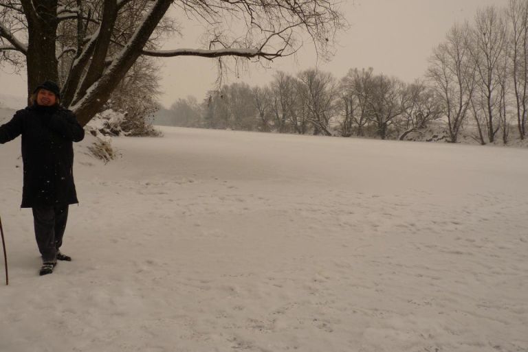 p1210313_7_1_000.jpg