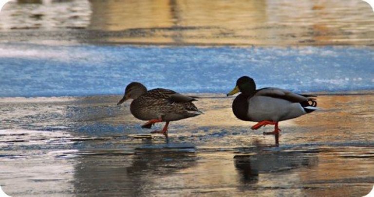 dsc_0236_000.jpg
