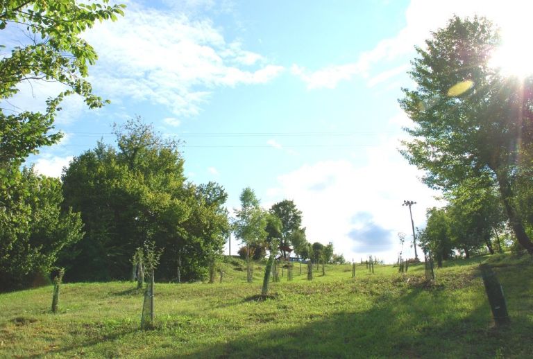 anadzjul11_046.jpg