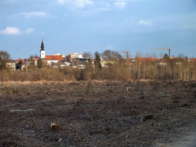 vrbina18mar2012_14.jpg