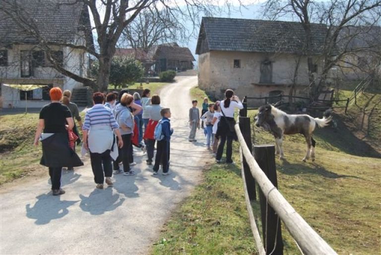 dvor_001.jpg